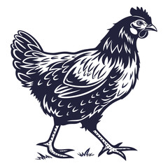 Stylized Silhouette of a Walking Hen on White Background chicken bird