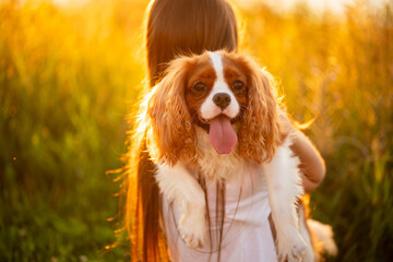 Young girl hugs pet at sunset. Girl and dog enjoy quiet evening in meadow. Girl lovingly holds dog in her arms, petting it. Pet care concept.