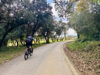 Morning Light on Winding Road with Cyclist Surrounded by Trees – Horizontal Scene