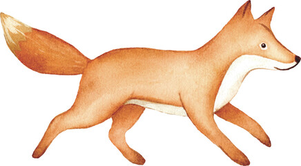 Cute Watercolor Woodland Fox Illustration