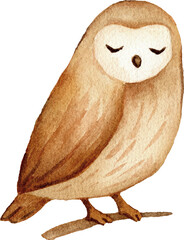 Cute Watercolor Owl Illustration