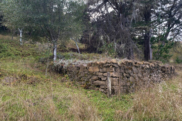 Weathered Fieldstone Corner in a Grassy Woodland Clearing