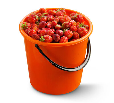 Strawberries in a backet isolated on transparent background