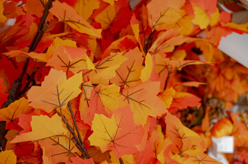autumn leaves background