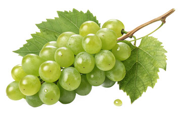 Juicy Green Grapes 