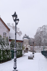 Winter street with lamp post. Snowy residential street with lamp post, hedge and houses in soft winter light. Concept of urban calm, seasonal neighborhood atmosphere, and background use.