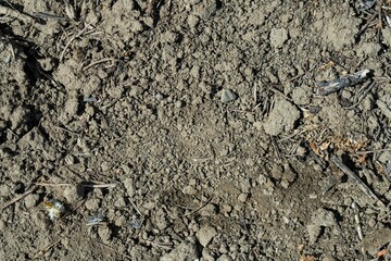 Close-up of a gray-black lava texture on the ground. Porous, cracked, and stony, perfect as a stock texture or photo background. Impression of molten rock.