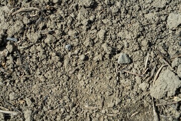 Close-up of a gray-black lava texture on the ground. Porous, cracked, and stony, perfect as a stock texture or photo background. Impression of molten rock.