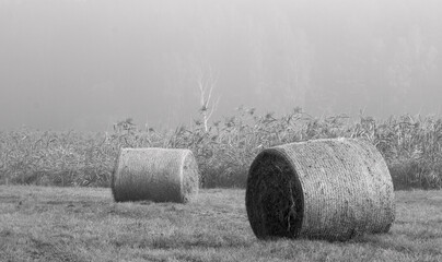 Krajobrazy Warmii -Po sianokosach 