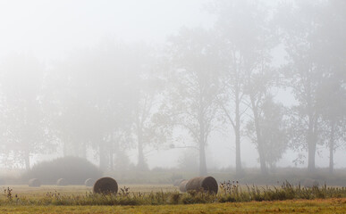 Krajobrazy Warmii -Po sianokosach 