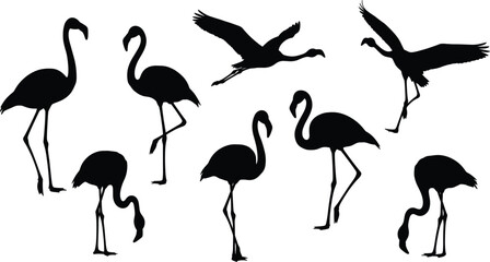 Flamingo silhouettes, elegant birds, flying flamingos, standing flamingos, wildlife art, tropical birds, nature pose, exotic animals, graceful movement, black shapes