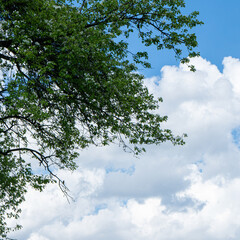 sky is blue and clear with no clouds. The sky is very bright and the sun is shining