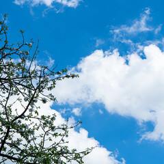 sky is blue and clear with no clouds. The sky is very bright and the sun is shining