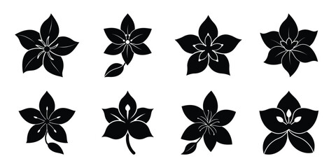 jasmine bloom flowers vector icon set. Flowers isolated on transparent background. Flowers in modern simple.