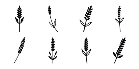 lavender stem flowers vector icon set. Flowers isolated on transparent background. Flowers in modern simple. © ganesh106