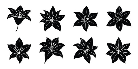 lily soft petal flowers vector icon set. Flowers isolated on transparent background. Flowers in modern simple.
