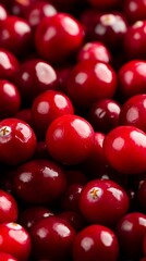 Fresh red cranberries showing healthy antioxidant fruit