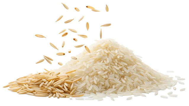 Falling jasmine and basmati rice grains on transparent background.