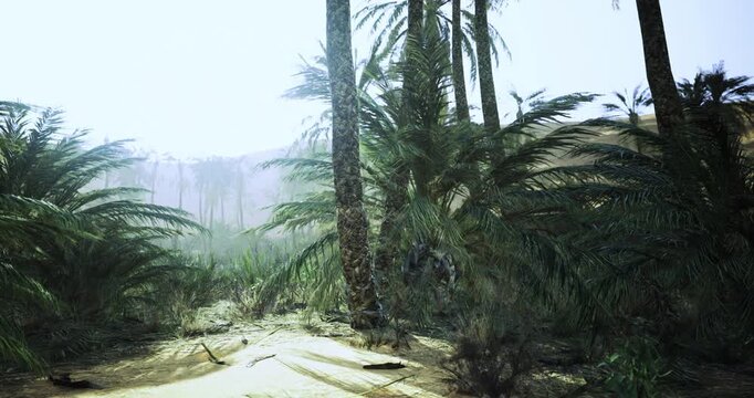 A tranquil oasis is filled with lush palm trees and vibrant greenery under bright sunlight. The peaceful setting invites exploration and relaxation among natures beauty.