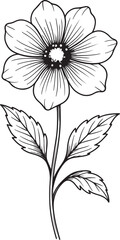Black and white line drawing of a single flower with leaves botanical floral