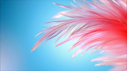 A close-up macro shot of a delicate pink feather with soft red hues, gently floating against a gradient of soft blue sky. The lighting is soft and airy, creatin
