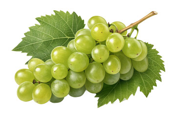 Obraz premium Fresh Bunch of Green Grapes with Leaves and a Juice Drop