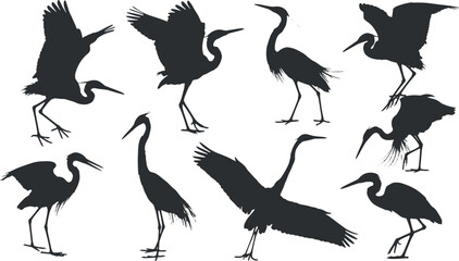 Heron and Crane Silhouettes &ndash; Flying Standing Walking Poses