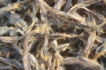 dried fish background. Lotka sutki 
