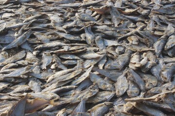 dried fish on the market