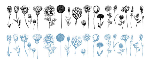 Delicate black-and-white vector wildflowers, ink illustration style, field blossoms for digital designs, cards, posters, floral decor, and elegant wedding stationery