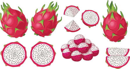 Set of Vector Illustrations of Fresh Pitaya Dragon Fruit, Shown Whole, Sliced, and in Halves, Ideal for Tropical Food Graphics, Healthy Eating, Juice Packaging, and Exotic Design