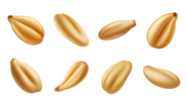 Golden grains of wheat create a nourishing visual, perfect for packaging or branding projects relating to baking, agriculture, and healthy eating, a wholesome design element