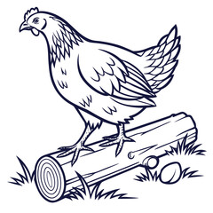 Line Art of a Hen Standing on a Log with an Egg on White Background chicken bird
