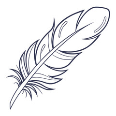 Obraz premium Simple Line Drawing of a Feather bird quill