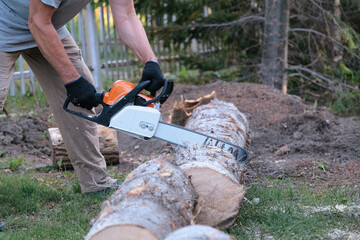 Man using a chainsaw to cut a spruce tree. Hands gripping the saw, action shot with wood chips flying, outdoor forestry and logging scene.