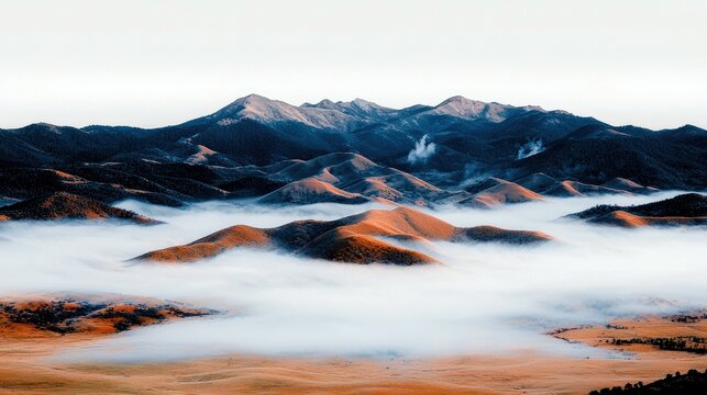 A landscape view of rolling hills partially covered in thick white fog, with a dark mountain range in the background. The hills are illuminated by warm sunrise - Powered by Adobe