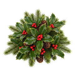 christmas holly branch with berries isolated on white background