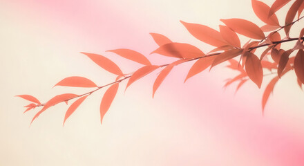 Soft peach leaves create a calming, ethereal aesthetic, perfect for gentle branding, wellness designs, or adding a touch of serene beauty to any project
