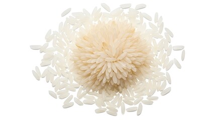 Close up of a fluffy dandelion seed head with delicate white petals against a white background