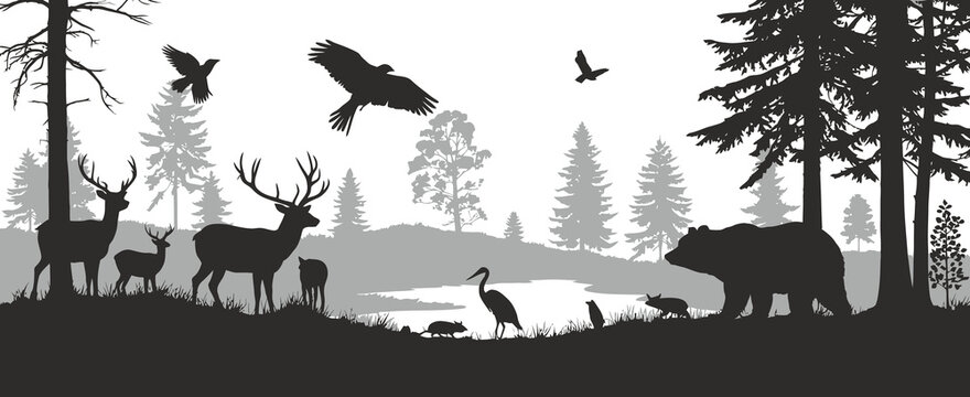 Bears and deer with birds in a dramatic forest silhouette scene, highlighting wild animal harmony, layered natural scenery, and expressive landscape elements for creative illustration