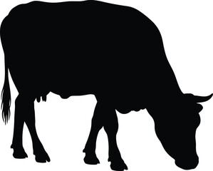 Silhouette of a grazing cow isolated on a white background