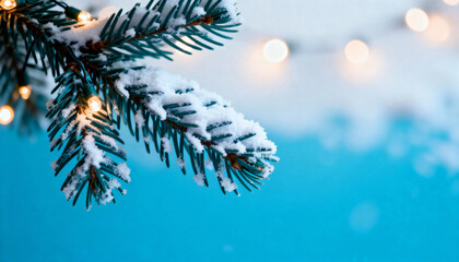 Snow-covered pine branch with warm Christmas lights