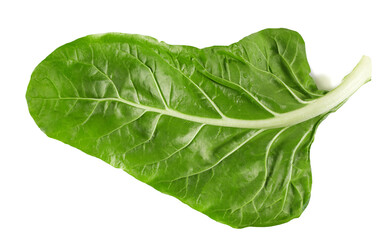 Obraz premium Fresh green romaine salad, lettuce leaf isolated on white background, top view