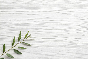 green leaves on a wooden background