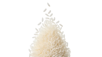 White Rice Pouring Downward Against Black uncooked rice