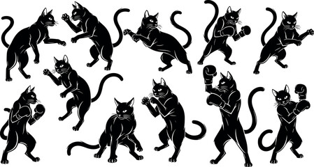 Cartoon black boxing cats in dynamic fighting poses with gloves, muscular bodies, expressive stances, martial arts action vector illustration