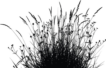 Black and white silhouette illustration of wild grass and flowers