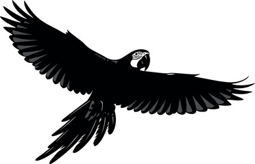 Flying parrot silhouette vector illustration with extended wings, tropical bird in motion, isolated black shape for wildlife and nature themes