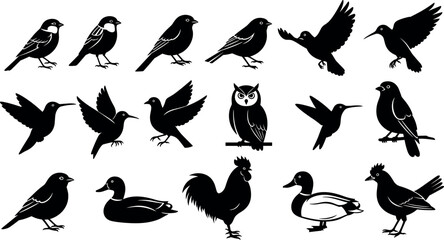 Fototapeta premium Silhouettes of diverse birds in flight and perched poses including owl, duck, rooster, hummingbird, songbird for nature vector design