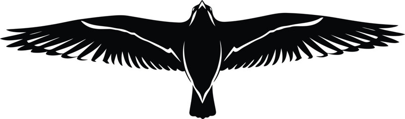 Dramatic silhouette of a bird in flight against a white background